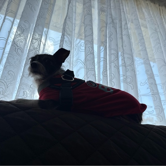 Meet your Posher, Liza - Picture 5 of 16